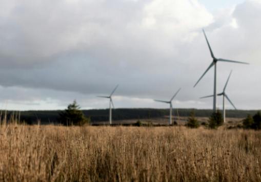 Miljövänliga möbler: En praktisk och miljövänlig lösning för ditt hem